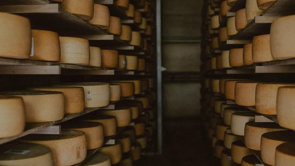 Forme di formaggio in stagionatura su scaffali di legno in una cella
